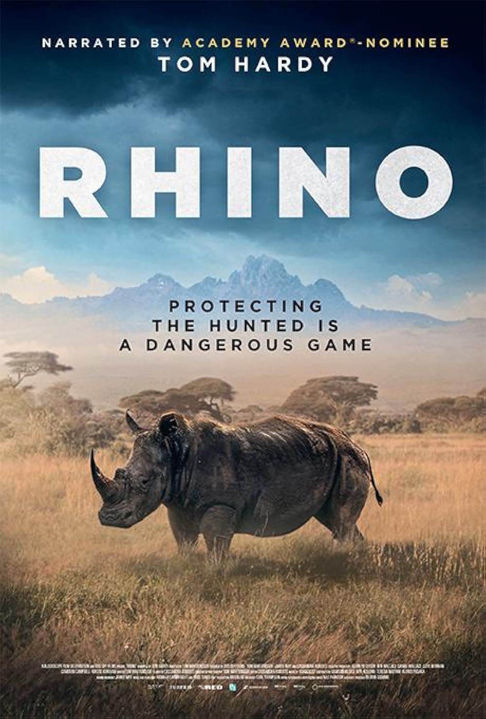 Rhino poster